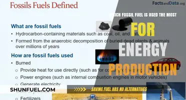 The Dominant Fossil Fuel: Unveiling the Most Used Energy Source