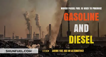 Gasoline and Diesel: Fossil Fuel Sources