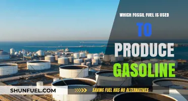 From Crude to Combustion: The Fossil Fuel Behind Gasoline Production