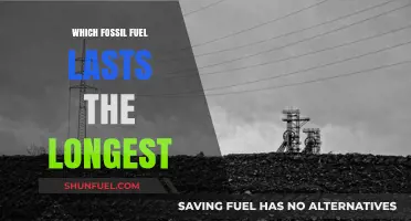 Comparing Fossil Fuels: Which Energy Source Has the Longest Lifespan?