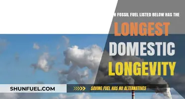 Comparing Fossil Fuels: Which Domestic Resource Lasts the Longest?