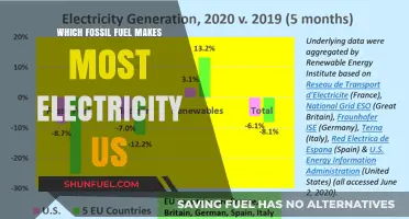Which Fossil Fuel Powers Most US Electricity Generation?