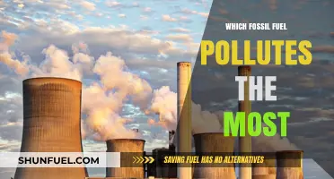 Coal vs. Oil vs. Gas: Which Fossil Fuel Pollutes the Most?