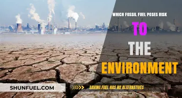 Environmental Risks: Which Fossil Fuel Threatens Our Planet the Most?