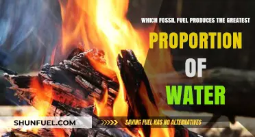 Which Fossil Fuel Generates the Most Water During Combustion?