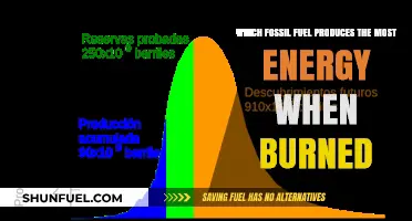 Comparing Fossil Fuels: Which One Generates the Most Energy When Burned?