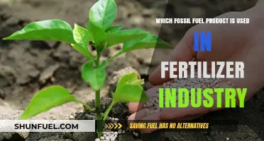 Natural Gas: The Key Fossil Fuel in Fertilizer Production