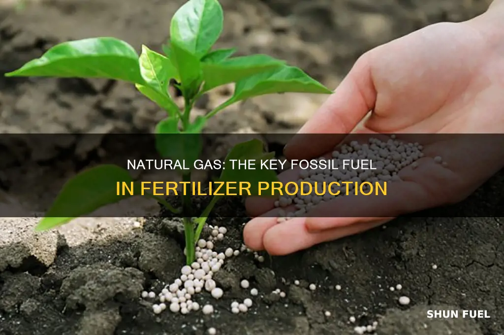 which fossil fuel product is used in fertilizer industry