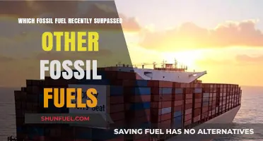 Natural Gas Overtakes Coal and Oil as Leading Fossil Fuel