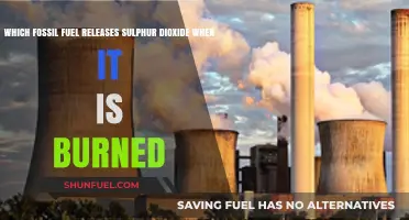 Burning Coal: The Primary Source of Sulphur Dioxide Emissions