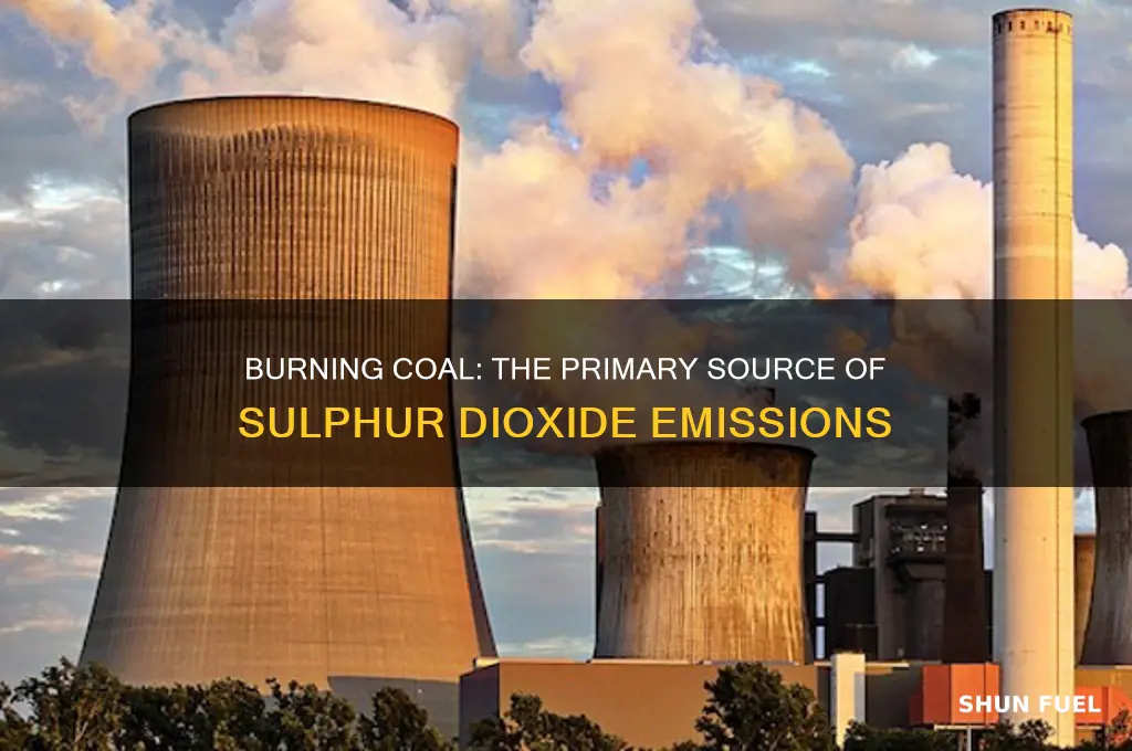which fossil fuel releases sulphur dioxide when it is burned