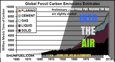 Coal vs. Oil vs. Gas: Which Fossil Fuel Emits the Most CO2?