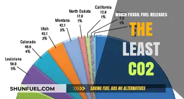 Comparing Fossil Fuels: Which One Emits the Least CO2?