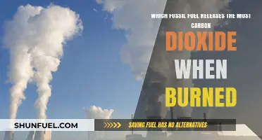 Burning Fossil Fuels: The Worst Carbon Emitters