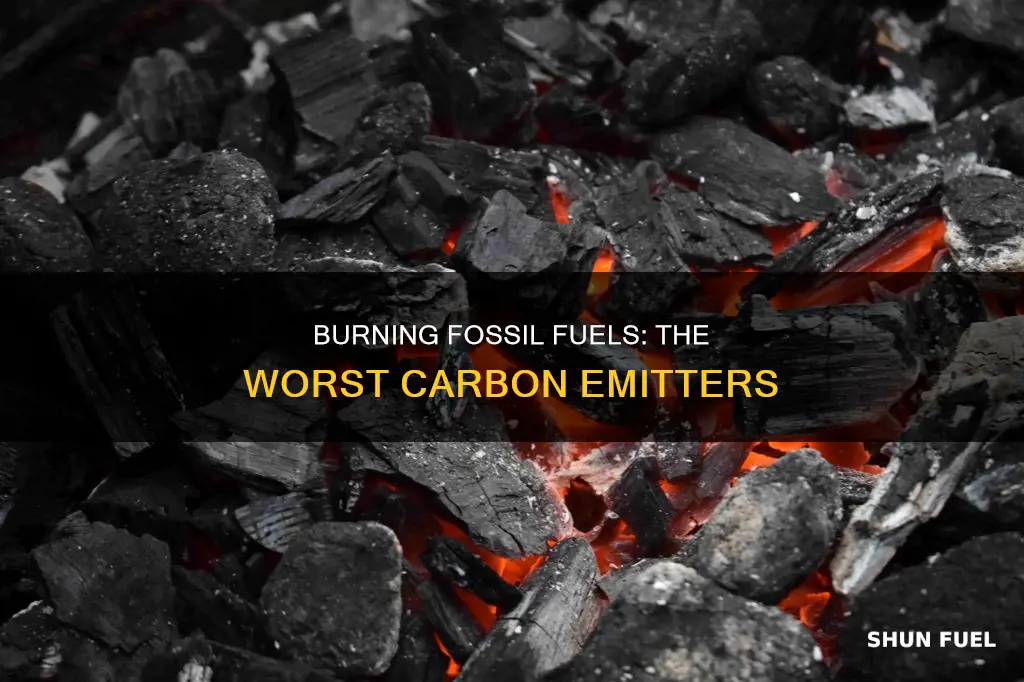 which fossil fuel releases the most carbon dioxide when burned