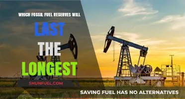 Which Fossil Fuel Reserves Have the Longest Lifespan?