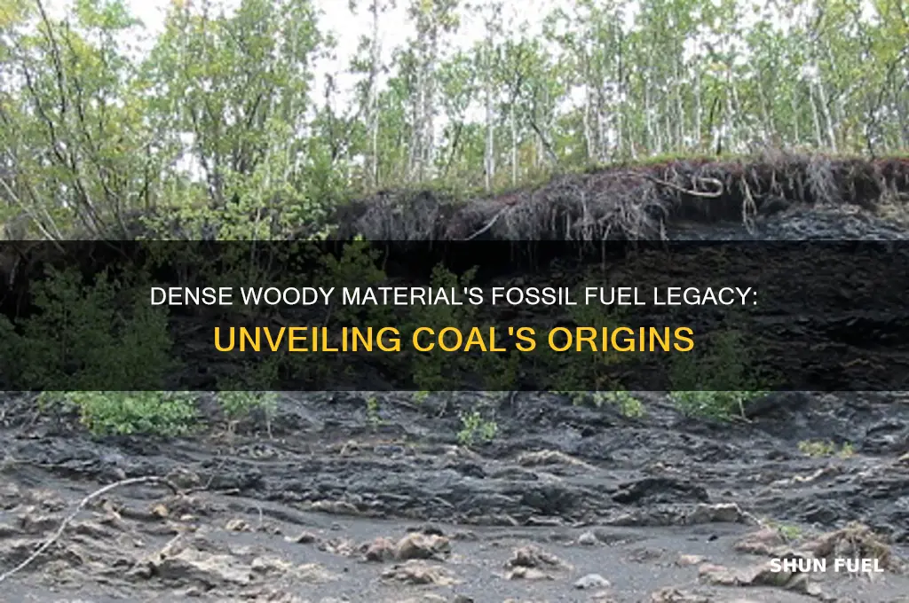 which fossil fuel was formed from dense woody material