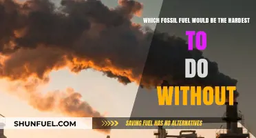 The Indispensable Fuel: Which Fossil Fuel is Hardest to Replace?