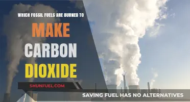 Burning Fossil Fuels: Unveiling the Carbon Dioxide Culprits