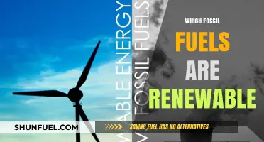 Renewable or Not? Debunking Fossil Fuel Sustainability Myths