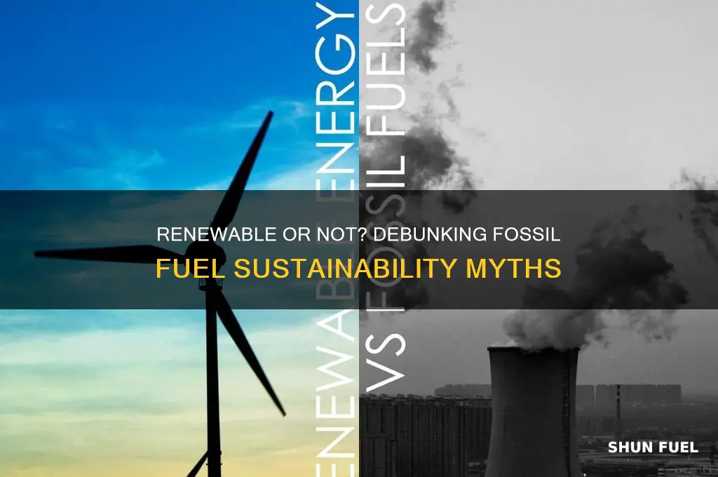 which fossil fuels are renewable