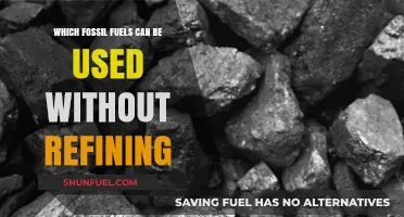 Raw Energy: Fossil Fuels Usable Directly Without Refining Processes