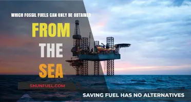 Ocean's Hidden Energy: Fossil Fuels Exclusively Extracted from the Sea