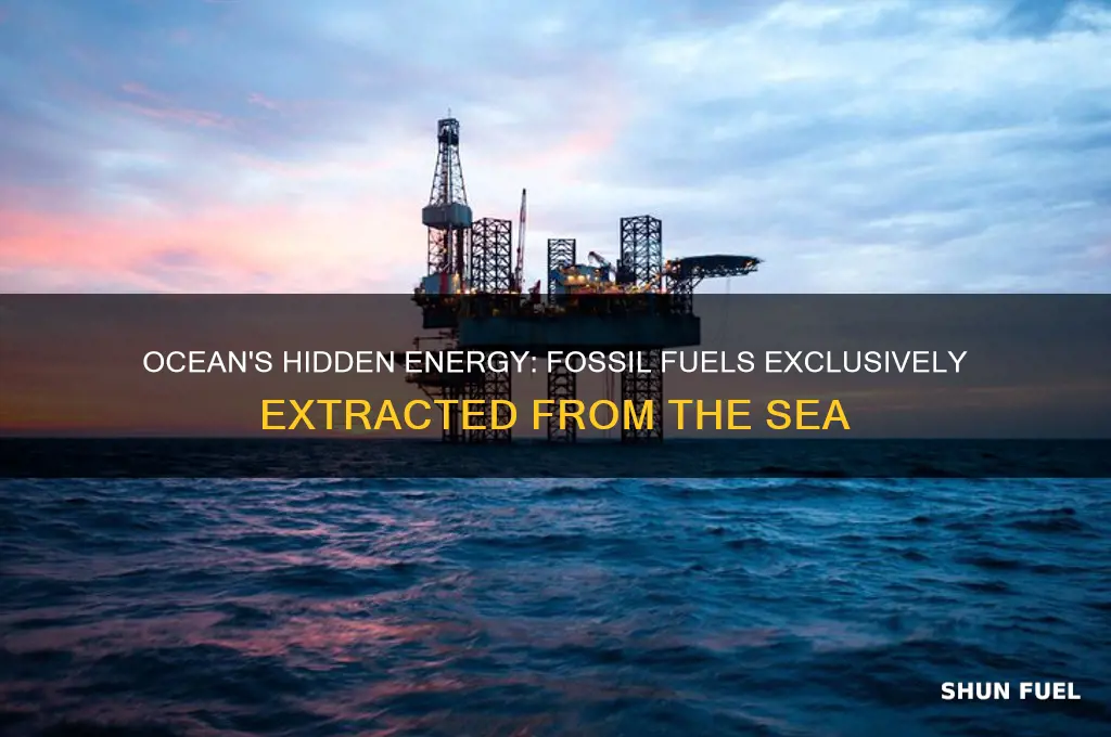 which fossil fuels can only be obtained from the sea