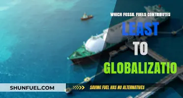 Natural Gas: The Fossil Fuel with Minimal Globalization Impact