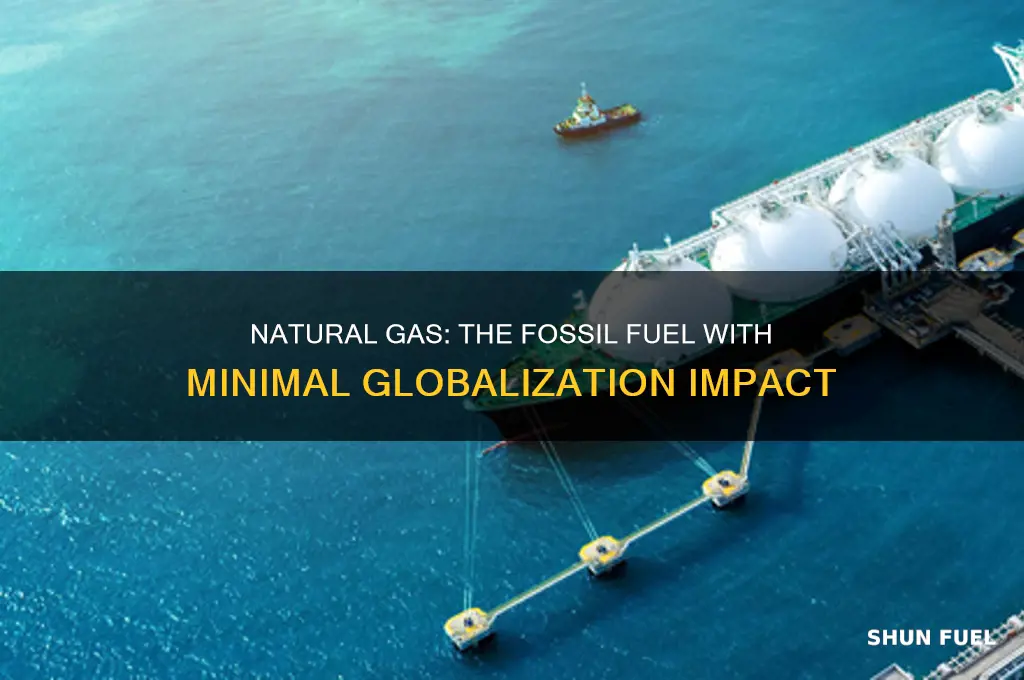 which fossil fuels contributes least to globalization