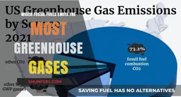 Ranking Fossil Fuels: Which Emits the Most Greenhouse Gases?
