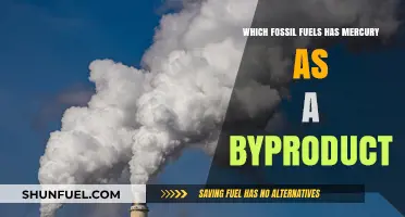 Mercury Emissions: Which Fossil Fuels Release This Toxic Byproduct?