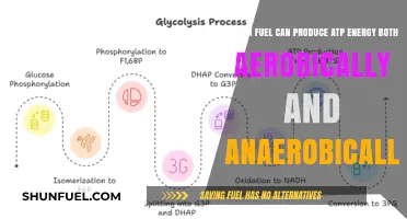 Glucose: The Dual-Power Fuel for ATP Energy Production