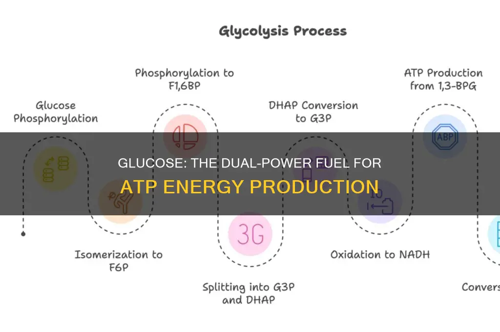 which fuel can produce atp energy both aerobically and anaerobically