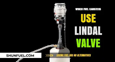 Lindal Valve Compatible Fuel Canisters: A Comprehensive Guide for Outdoor Enthusiasts