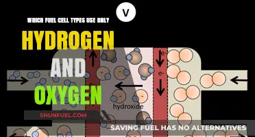 Hydrogen and Oxygen Fuel Cells: Types and Functionality Explained