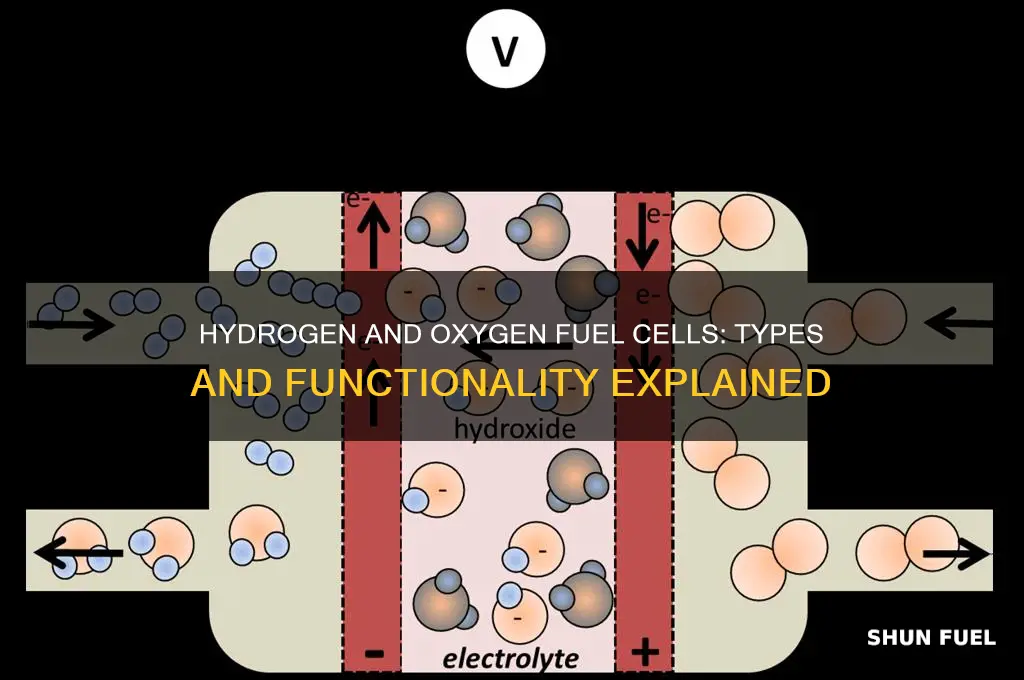 which fuel cell types use only hydrogen and oxygen