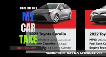 Unleash the Power: Discover Your Car's Fuel Type