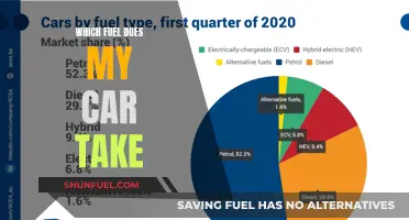 Car Fuel Type: Choosing the Right Gas for Your Vehicle