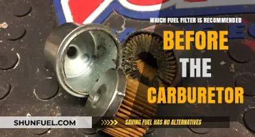 Fuel Filter Choice: Pre-Carburetor Protection