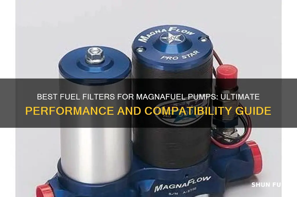 which fuel filters for magnafuel pump