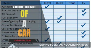 Fuel Choice: Powering Your Car's Longevity