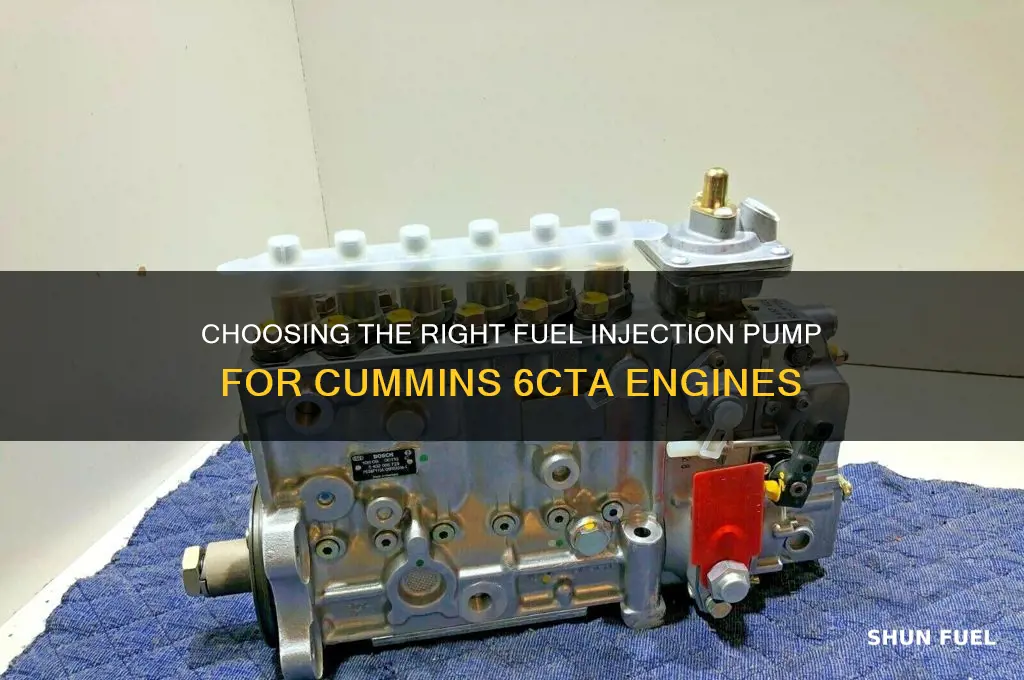 which fuel injection pump for cummins 6cta
