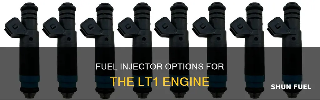 which fuel injector for lt1