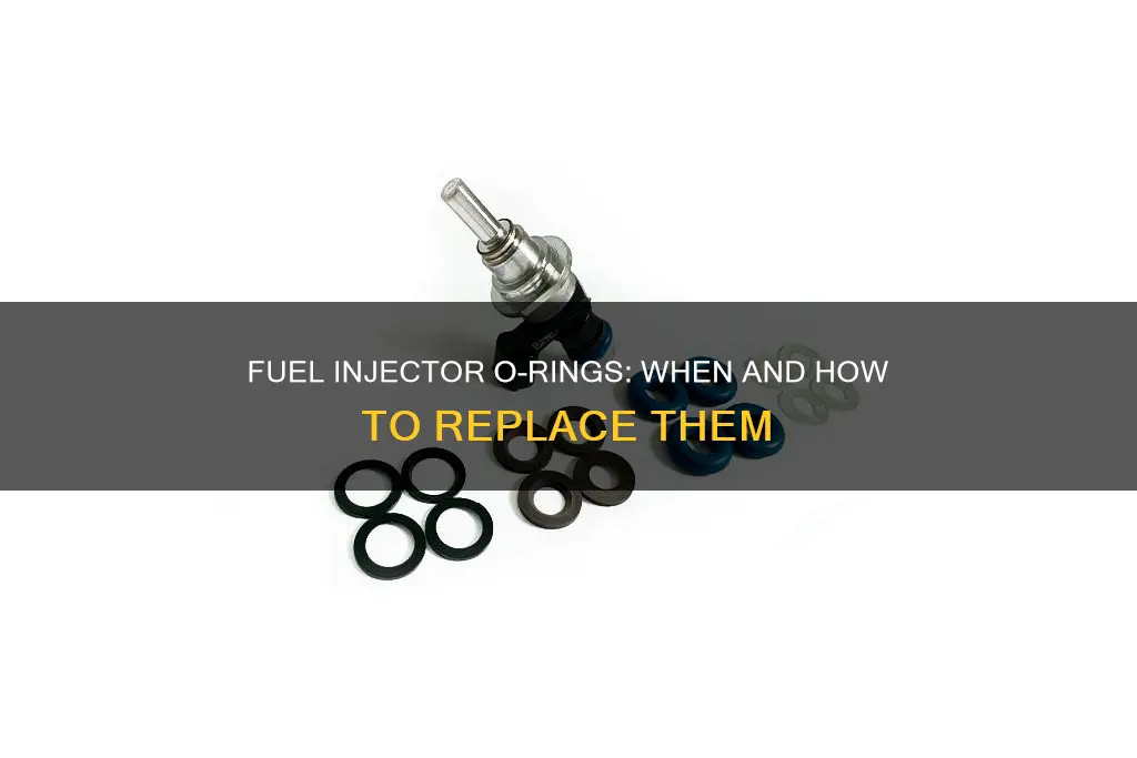 which fuel injector o rings to replace