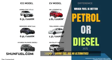 Petrol vs Diesel: Which Fuel is More Efficient?