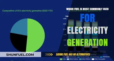 Most Common Fuel for Electricity Generation: A Comprehensive Analysis