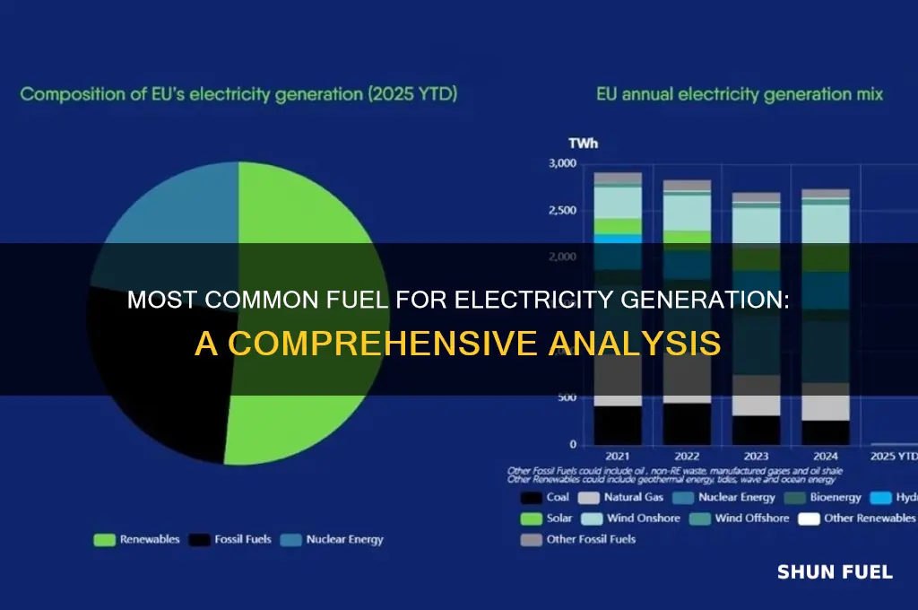 which fuel is most commonly used for electricity generation