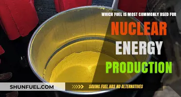 Uranium: The Dominant Fuel Powering Global Nuclear Energy Production