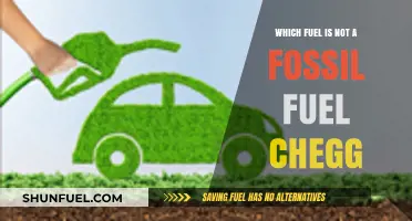Discovering Non-Fossil Fuel Alternatives: What’s Not on Chegg’s List?